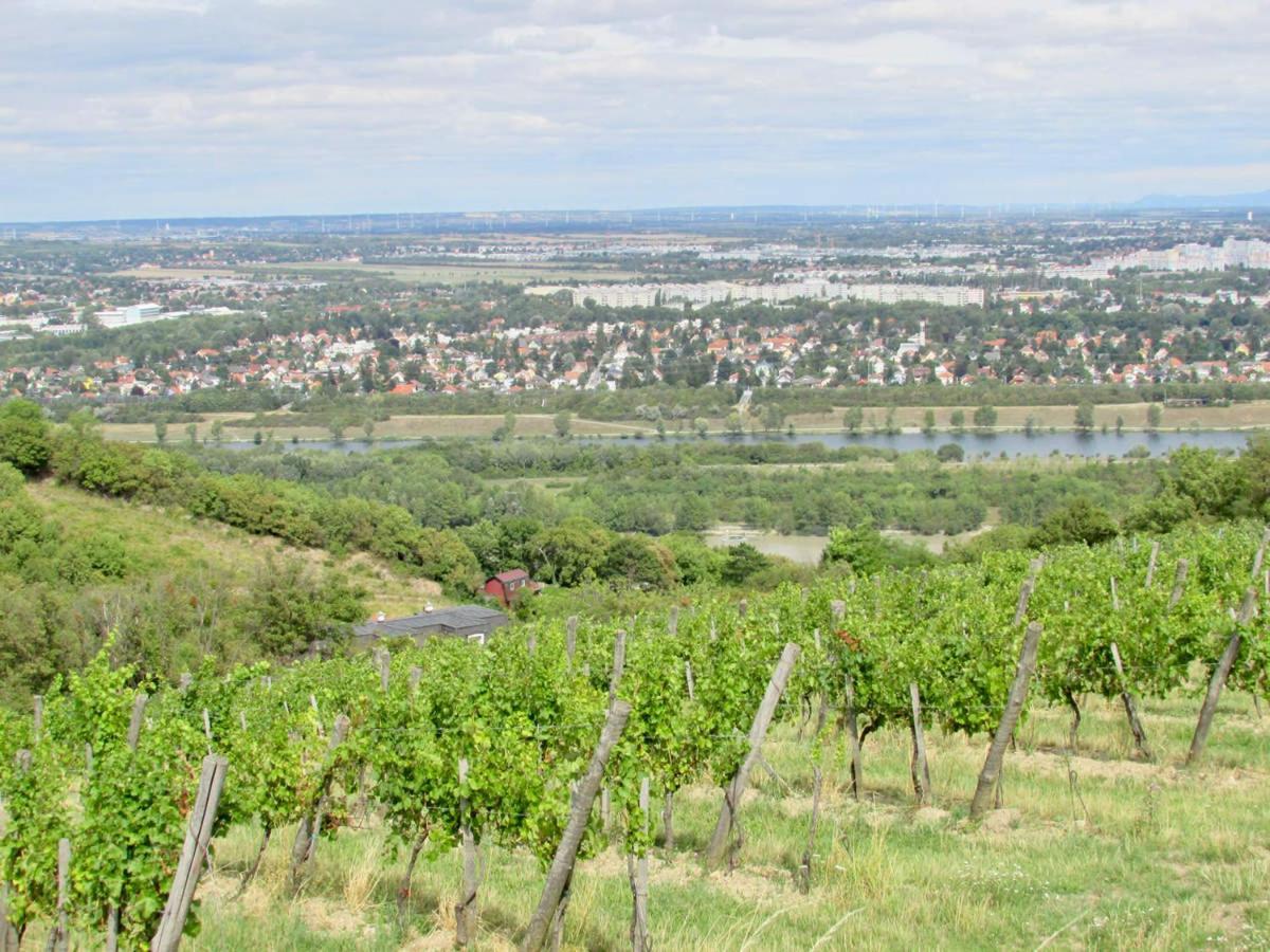 Hotel Du Cafe Des Arts Chinon Exteriör bild